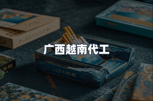 广西越南代工